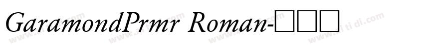 GaramondPrmr Roman字体转换